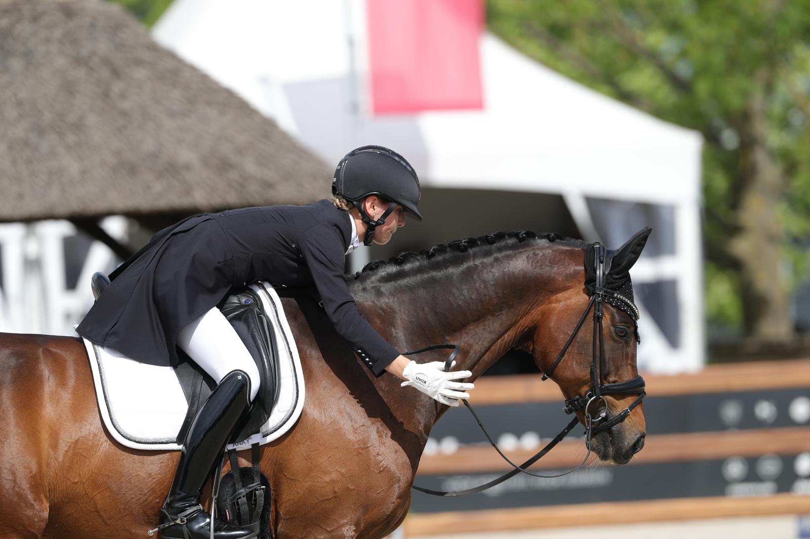 Freestyle Allegro BK 2025