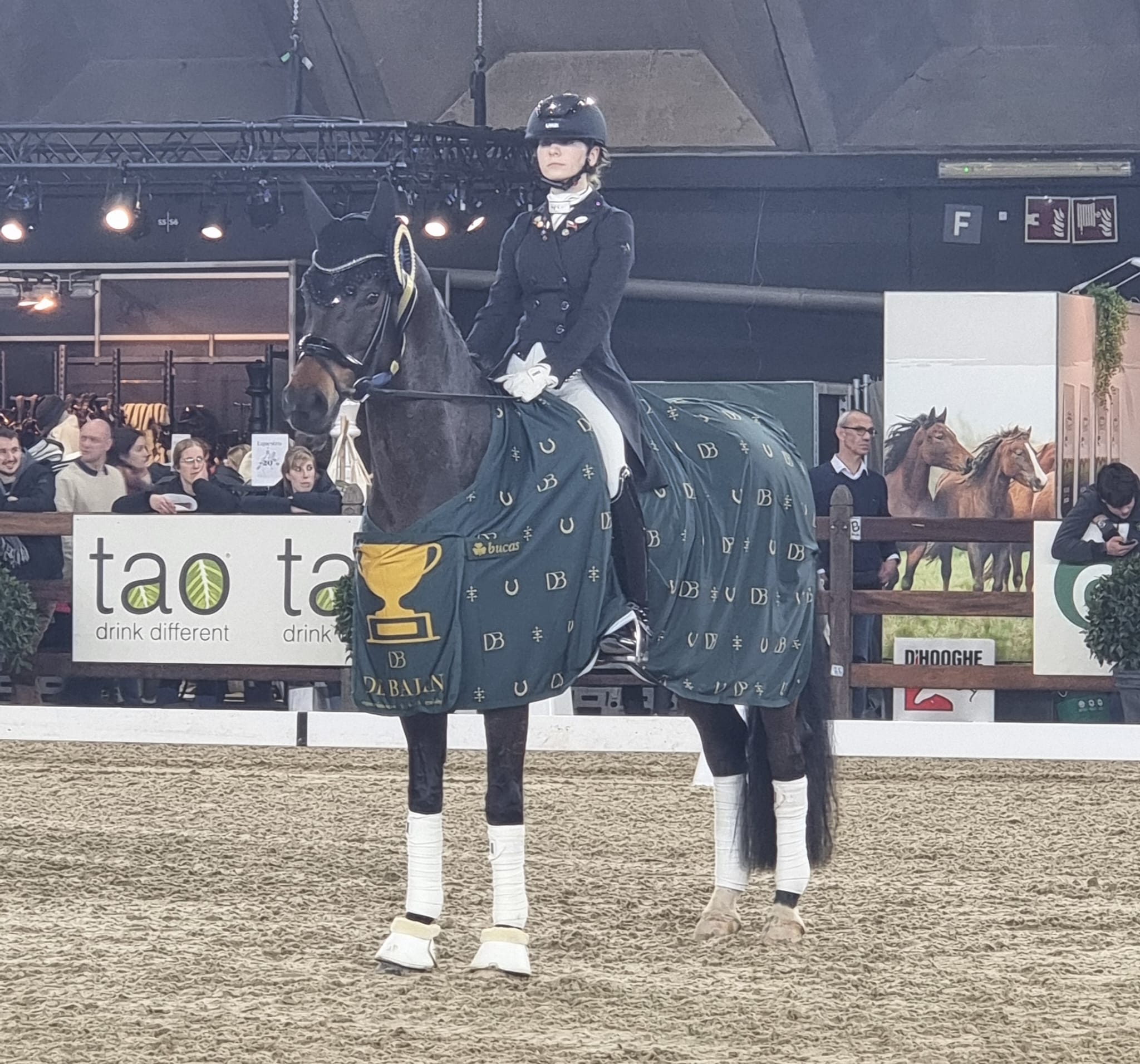 Gold Cup Final Allegro Freestyle 2025